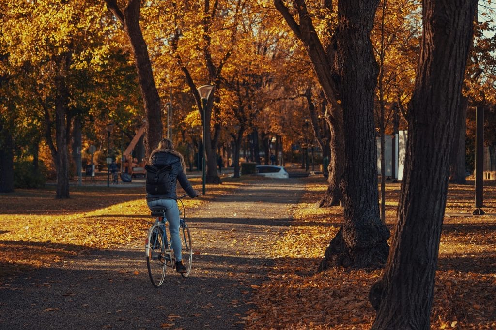 woman, bike ride, autumn, bicycle, fall, girl, park, path, nature, sunny, trees